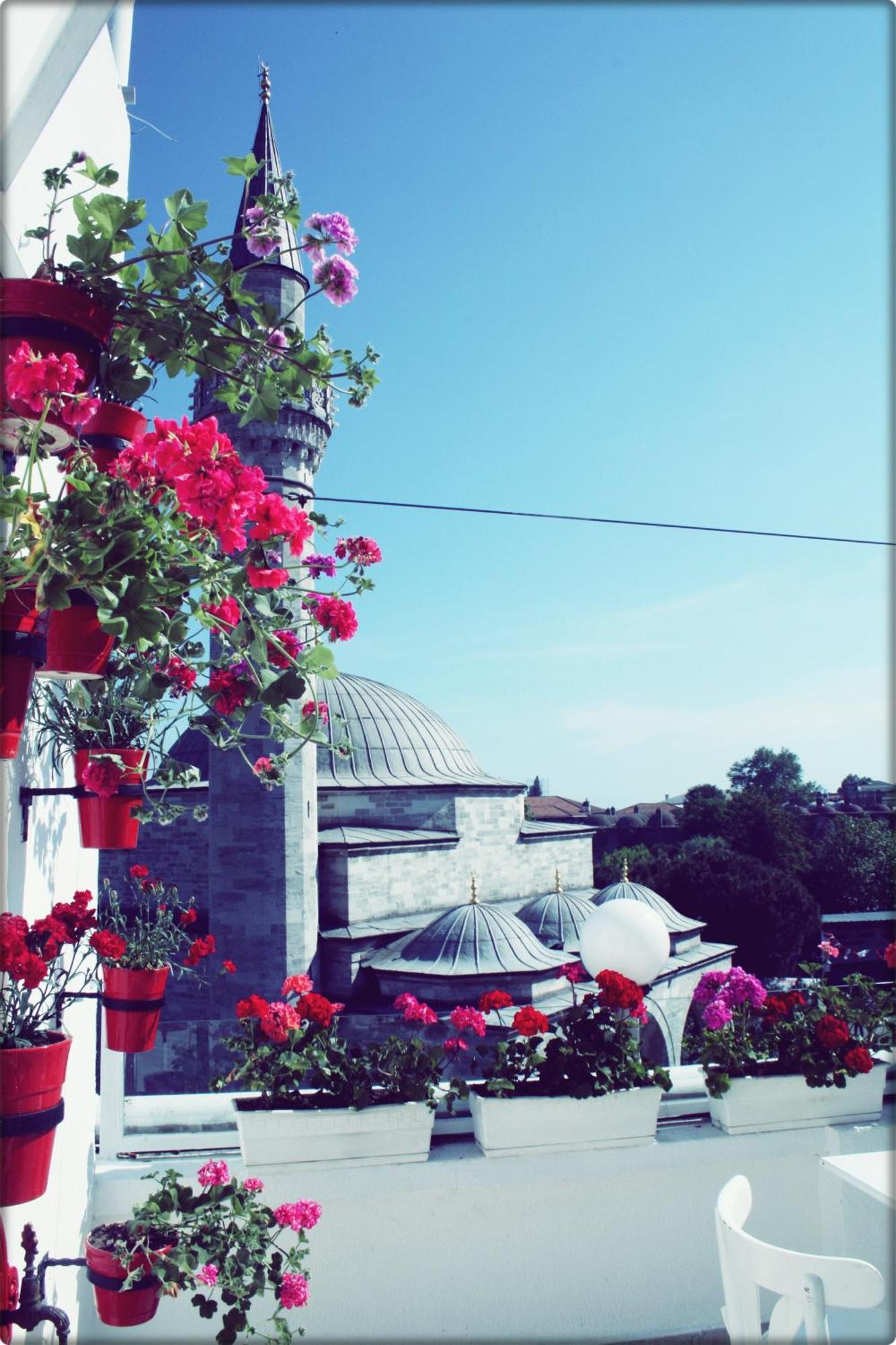 No20 Sultanahmet מלון 3*